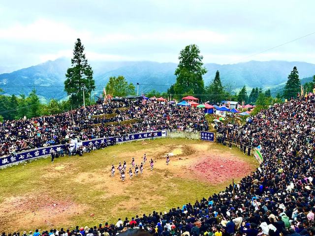 知名侨领马东亚受聘贵州从江县民族民间斗牛协会名誉会长-图片14