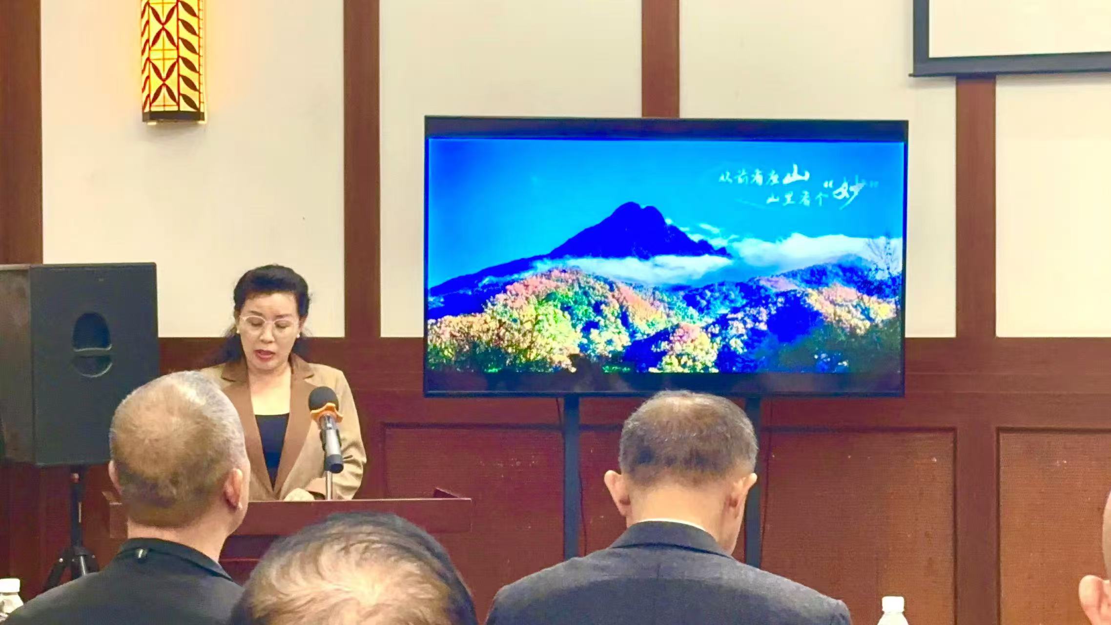 知名侨领马东亚应邀出席中国侨商投资(海南)大会-图片9