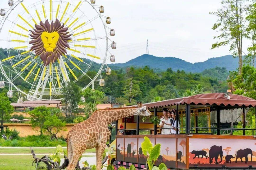 清远要“出圈”了！就因为11月28日这件事……-图片15