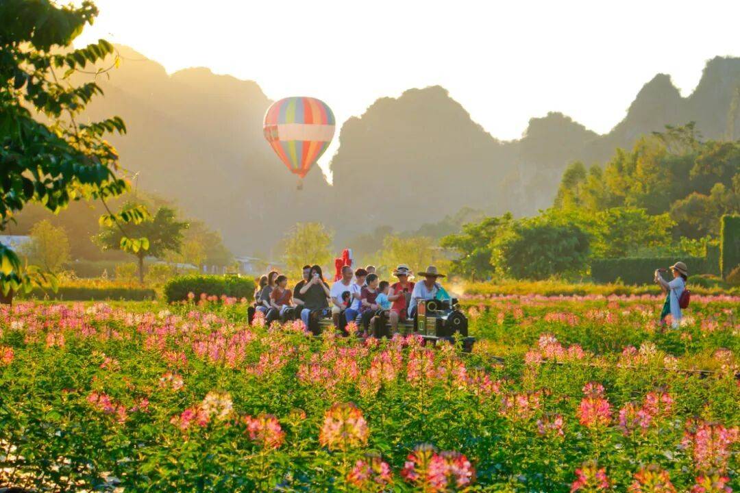 清远要“出圈”了！就因为11月28日这件事……-图片26