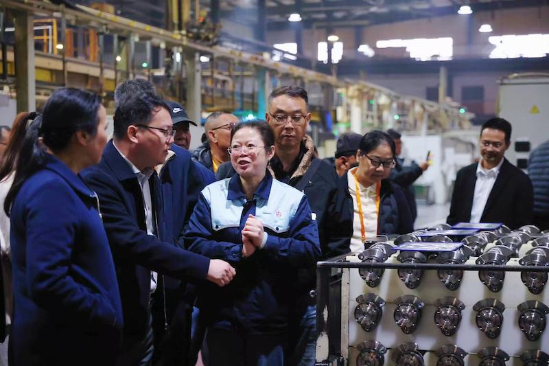 2025“一带一路”知名华商四川行暨四川“侨助千企万品出海”行动内江站活动圆满启幕|侨聚甜城谋共赢 共筑开放新动能-图片13