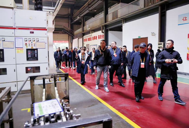 2025“一带一路”知名华商四川行暨四川“侨助千企万品出海”行动内江站活动圆满启幕|侨聚甜城谋共赢 共筑开放新动能-图片14