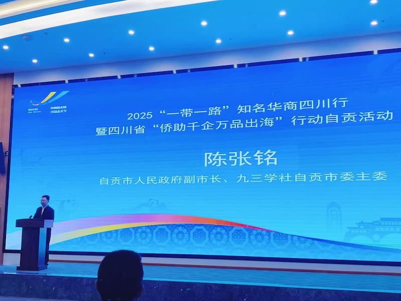 2025“一带一路”知名华商四川行暨四川省“侨助千企万品出海”行动自贡站活动圆满举办|侨聚盐都筑根基 赋能出海启新篇-图片14