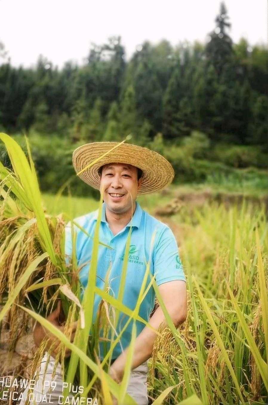 千年古村育佳稻 邓泗洲品牌稻米获评“2025中国最美县域指定大米”-图片4