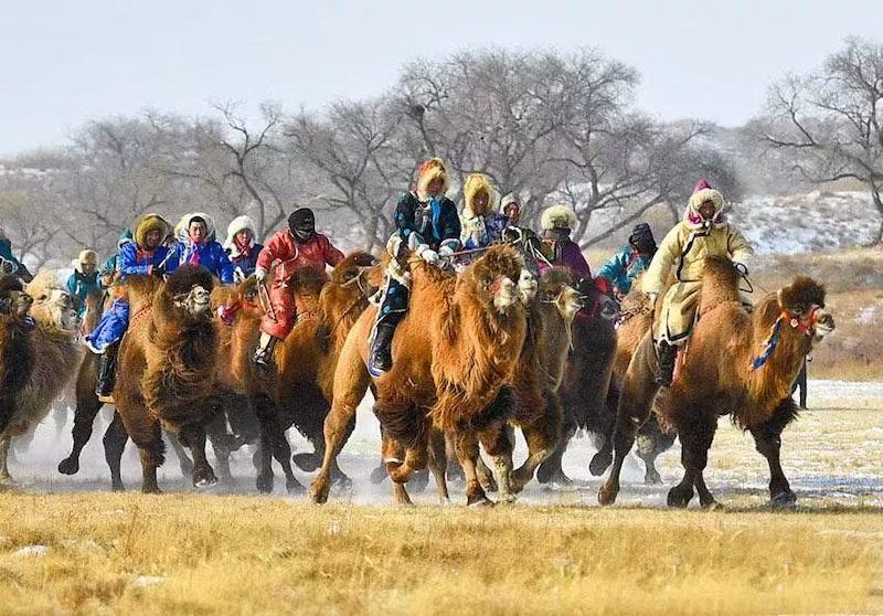 “歌游内蒙古·欢乐正蓝旗” 2026浑善达克冰雪季即将燃情启幕-图片10