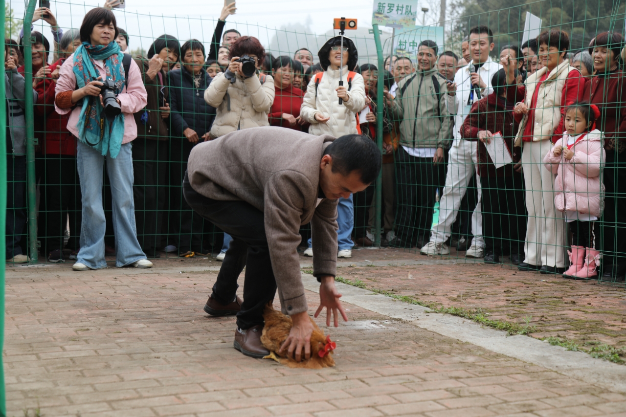 花开葛竹“枳”等你来 文体融合点亮乡村振兴新图景——2026年葛竹村枳实花观赏活动暨农民趣味运动会成功举办-图片5