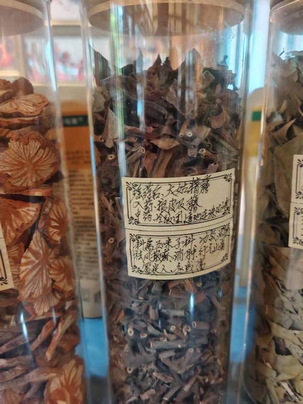 寻香记:在高华瑶寨,与一株草药的千年相遇-图片9