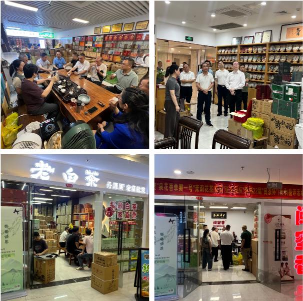 全球共饮 茶香世界——5·21国际茶日  福建公益品茗活动成功举办-图片7