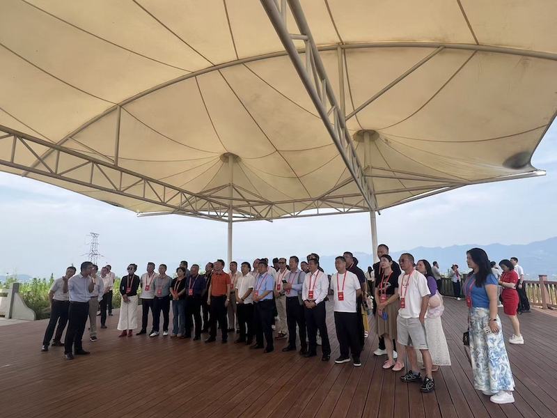中国传真新闻社社长李家辛应邀出席2026“一带一路”华侨华人合作发展大会并参加“天府行”广安达州考察活动-图片10