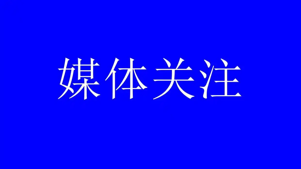 无根之木难参天:对中国足球发展路径的再思考