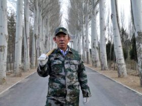 国家荣誉称号获得者——王启民