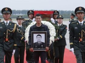 国家荣誉称号获得者——申亮亮