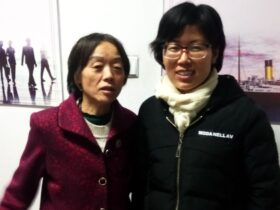 王迎花|人物百科