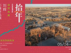 台山侨乡最关注：图看沙漠里的脱贫故事