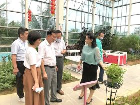 海南省侨联主席黎才旺率队调研侨企合作项目复工复产情况