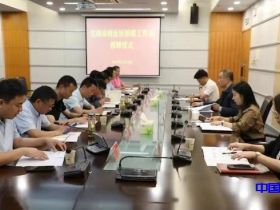 率先实现全区镇级侨联全覆盖、首创在侨企设立侨联工作站——芜湖市湾沚区侨联工作站授牌仪式成功举办