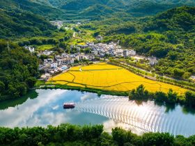 广州美丽乡村建设提质升级 已基本建成7条精品新乡村示范带