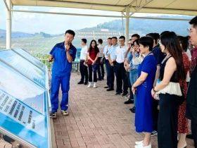 “一带一路”共建国家商会负责人研修班在广西成功举办