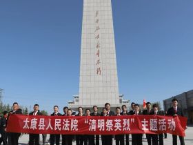 河南太康县人民法院开展“清明祭英烈”主题活动