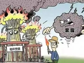 杜绝夏季“一把火”，严禁秸秆焚烧，太康县芝麻洼乡一直在坚守