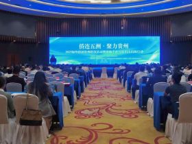 “侨联五洲·聚力贵州”2025海外侨团贵州联谊活动暨侨助千企万品出山出海行动在贵阳启动
