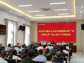 河南：周口市召开农村集体土地专项清查整治和“四议两公开”线上运行工作推进会