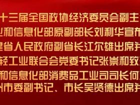 福州启幕｜六届赓续传匠心 三新赋能兴工美兴