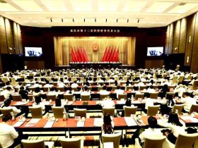 知名侨领马东亚先生受聘为武汉市侨联第十二届委员会顾问
