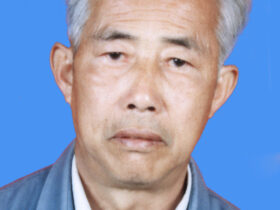 王树先|人物百科