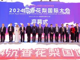 沉香与花梨的盛宴：2024年沉香花梨国际大会圆满落幕