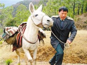 王顺友|人物百科