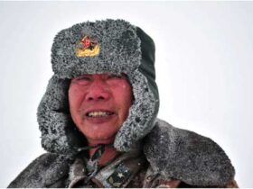 李素芝|人物百科