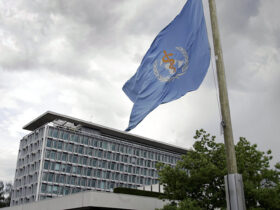 世卫组织: 中国调查长春长生行动迅速透明