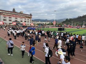 从流量狂欢到价值深耕：中国乡村振兴的战略逻辑与全球远征