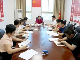海南省侨联召开作风整顿建设推进会