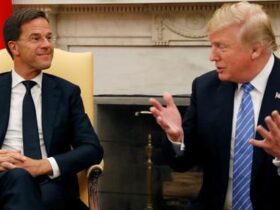 就汽车关税问题 特朗普矛头再指世界贸易组织