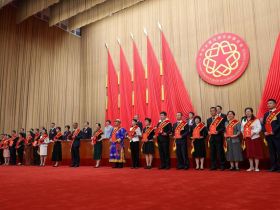 喜讯！江门市侨联特色经验获中国侨联点赞