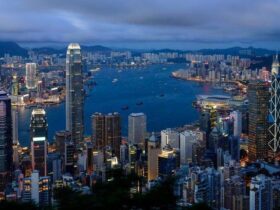 入境香港政策更新