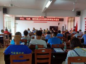 广东省农科院举办驻镇帮村种养技术培训