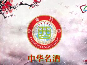 中华名酒——人民的选择