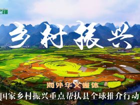 海外华文媒体国家乡村振兴重点帮扶县全球推介行动