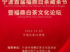 福鼎白茶助力共富，“鼎白”香溢宁波
