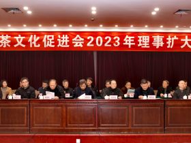 宁波茶文化促进会2023年理事扩大会议在宁波饭店举行