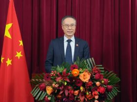 中国侨联主席万立骏向全球华侨华人拜年：侨心筑梦 奋楫前行