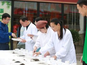 第二届“一带一路”明州杯斗茶大会暨金钟茶城十五周年活动在宁波举行