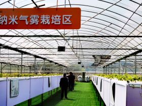 宁波胡陈土豆种在空气中，以乡村振兴引领农民共富