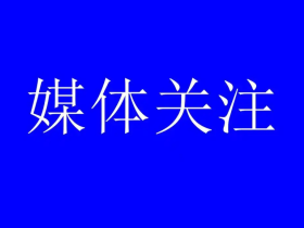 无根之木难参天：对中国足球发展路径的再思考