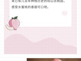 体验桃文化 感受新农村：2022“亲情中华·为你讲故事”江苏网上常规营无锡段惠山主场即将开启