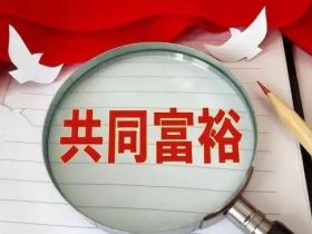 华聚互联·美美与共-博物征集书
