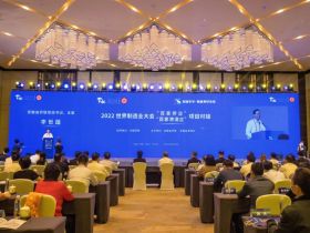2022世界制造业大会“百家侨企”“百家港澳企”项目对接和巢湖侨创峰会在合肥举办
